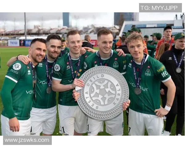 冰岛足球明星球员盘点及其代表性比赛瞬间解析